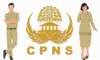 Ini Syarat Pendaftaran CPNS 2025 untuk Lulusan SMA Hingga S1 yang Harus Dipahami