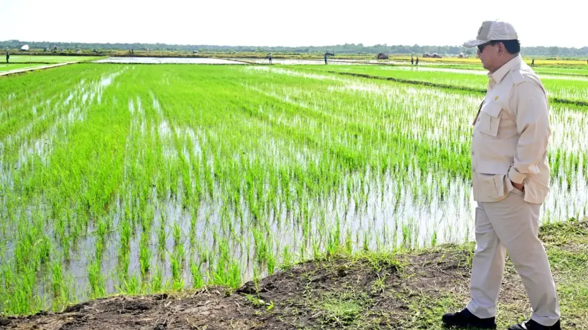 Indonesia Kembangkan Zona Swasembada Pangan, Air, dan Energi