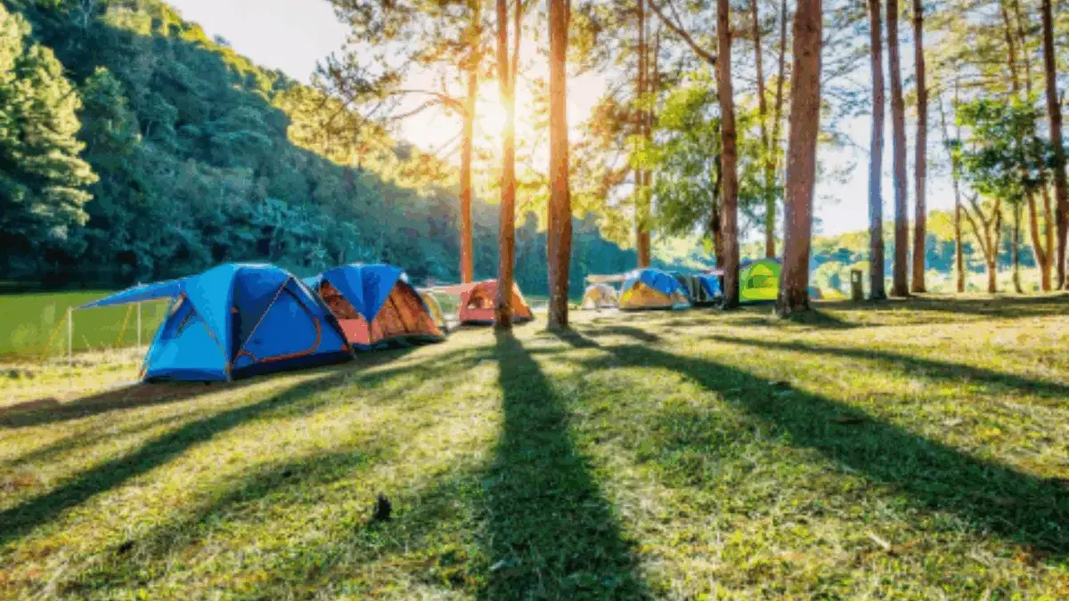 5 Rekomendasi Tempat Camping di Bandung: Dari Pemandangan Citylight Hingga Hutan Pinus yang Teduh