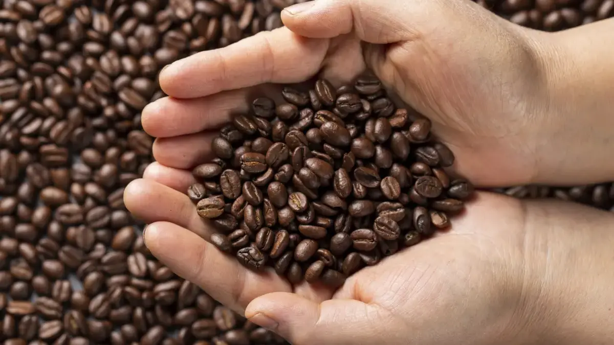 Dorong Ekspor, RI Ajukan Tarif Nol untuk Kopi, Kakao, dan Sawit ke AS