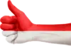 Ilustrasi Indonesia Maju