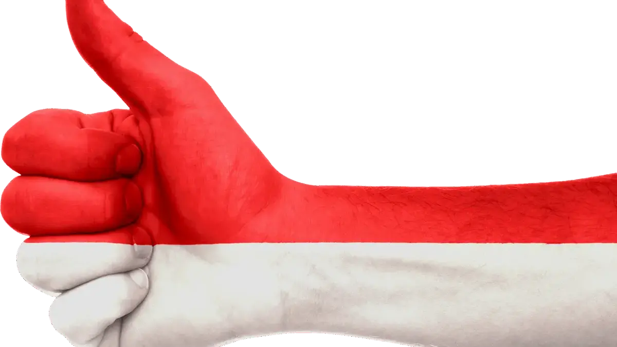 Ilustrasi Indonesia Maju