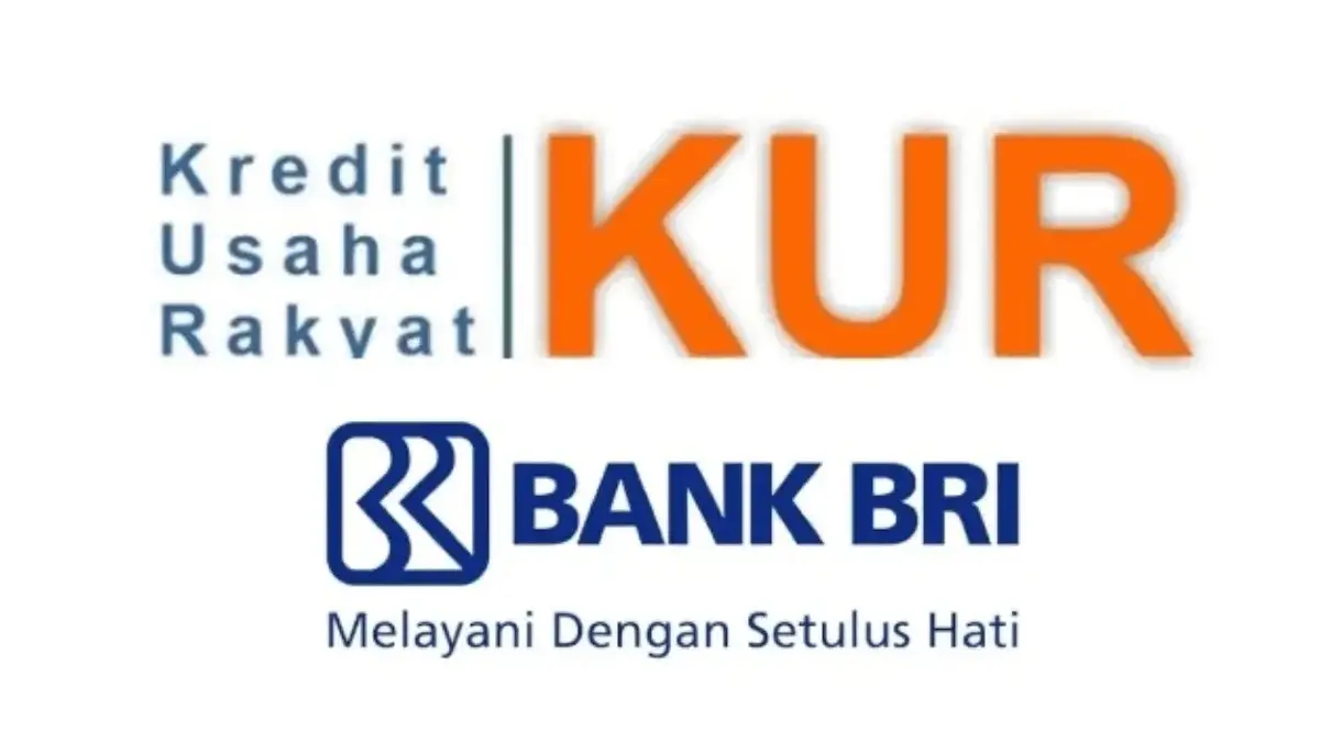 Sebelum Mengajukan, Pahami Dulu Perbedaan KUR BRI Jenis Mikro dan Kecil
