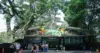 Ilustrasi gerbang depan Bandung Zoo