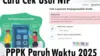 Cara cek NIP PPPK Paruh Waktu 2025 di Mola BKN