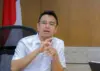 Potret Raffi Ahmad