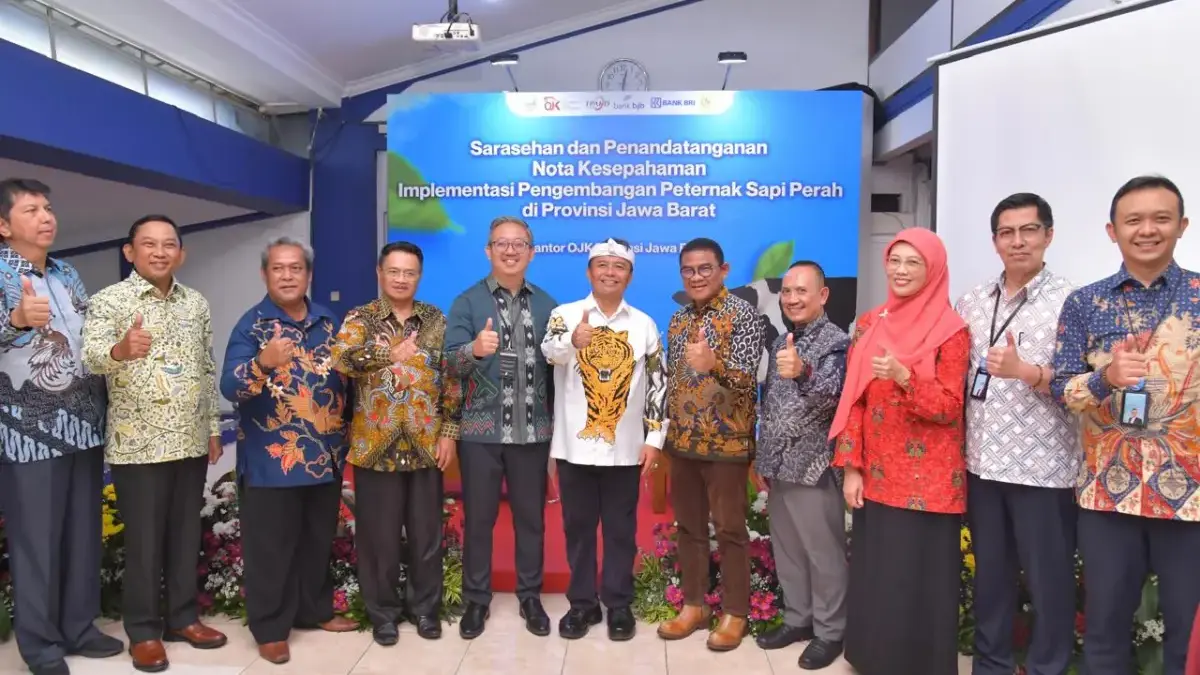 Tingkatkan Ekonomi Daerah, OJK Dorong Pengembangan Peternak Sapi Perah di Jawa Barat