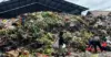 Penampakan tumpukan sampah di Pasar Induk Caringin