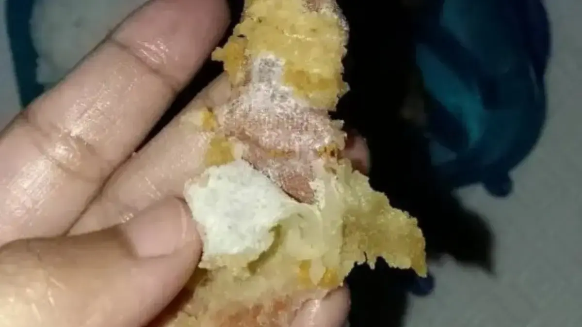 Tangkapan layar rekaman menu MBG berisi plester luka