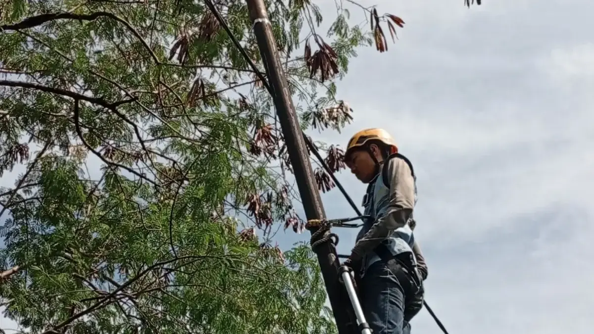 PLN Icon Plus Tingkatkan Keandalan Jaringan Lewat Penataan dan Pemeliharaan Aset Ketenagalistrikan di Cibeber PLN Icon Plus Tingkatkan Keandalan Jaringan Lewat Penataan dan Pemeliharaan Aset Ketenagalistrikan di Cibeber