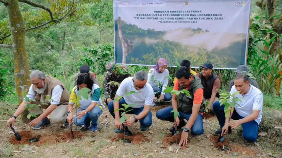 Yayasan AHM Kolaborasi dengan Masyarakat Pekalongan Lestarikan Satwa Owa Jawa