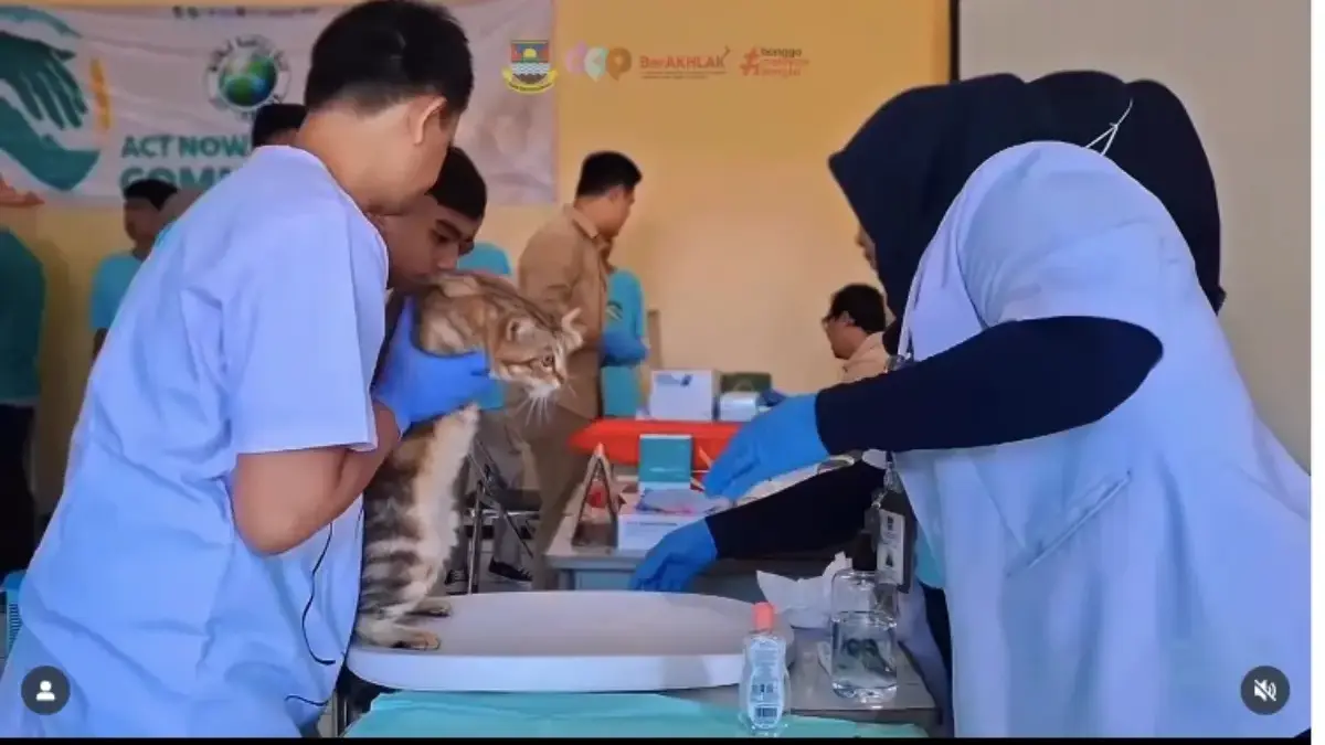 KBB Perkuat Kolaborasi Menuju Jawa Bebas Rabies 2029