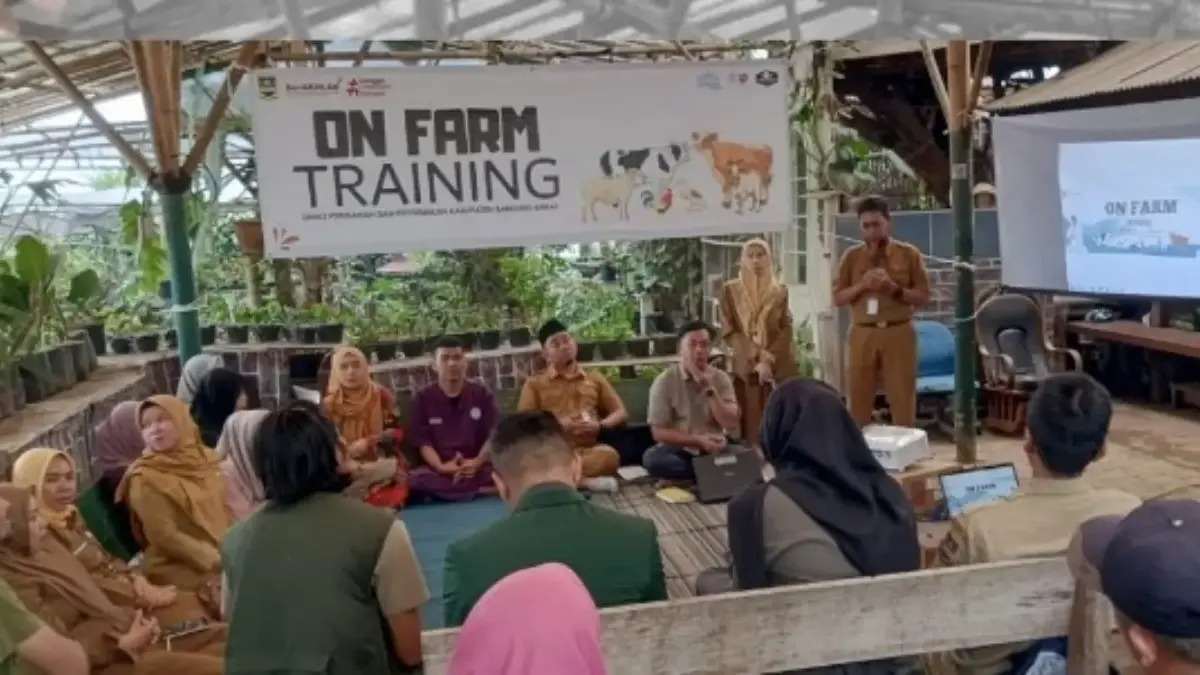 OFT Jadi Andalan Baru Penguatan Peternakan KBB OFT Jadi Andalan Baru Penguatan Peternakan KBB