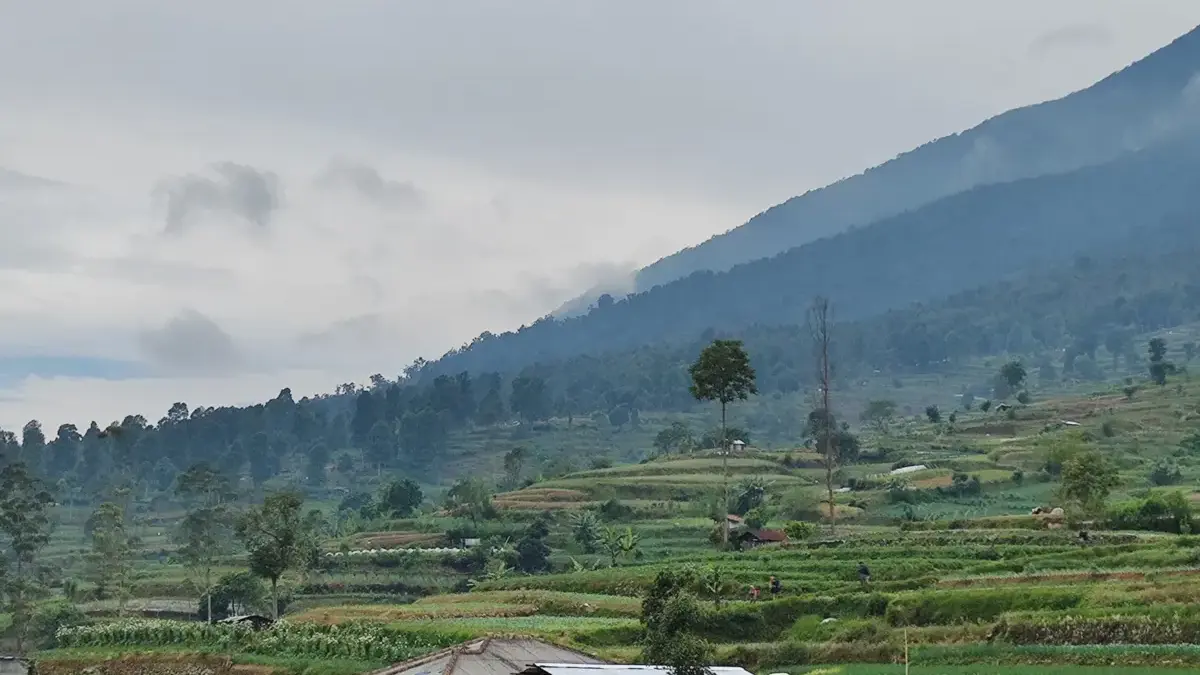 Energi Bersih dari Jawa Barat: Bagaimana Pengembangan PLTP Bisa Selaras dengan Konservasi Alam Energi Bersih dari Jawa Barat: Bagaimana Pengembangan PLTP Bisa Selaras dengan Konservasi Alam