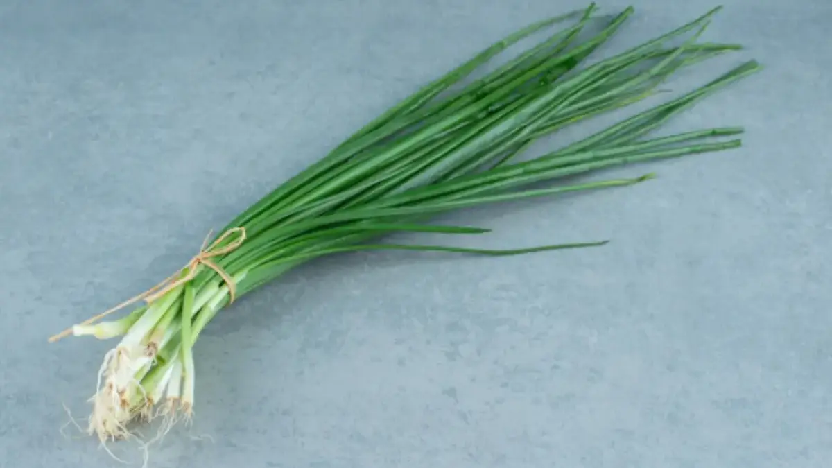 Sering Jadi Taburan, Ternyata Daun Bawang Punya Khasiat Besar untuk Tubuh