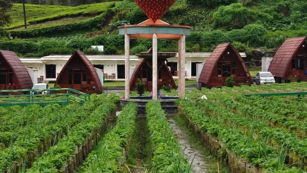 Kawasan Walini Ciwidey