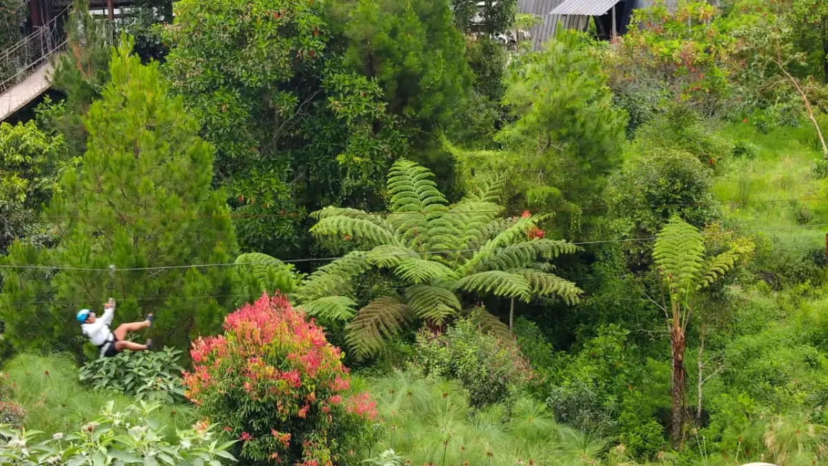 Glamping Lakeside Situ Patenggang, Rancabali, Ciwidey