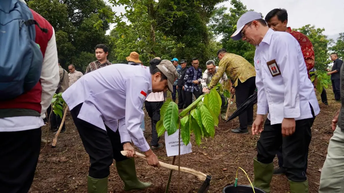 OJK Jawa Barat Dukung Revitalisasi Lahan Kritis Melalui Pengembangan Kakao Berkelanjutan