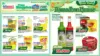 Promo JSM Alfamart Minggu Ini 20-22 Februari 2026