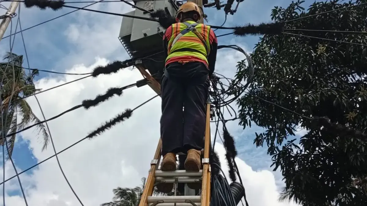 PLN Icon Plus Lakukan P3AK di Kecamatan Cimalaka untuk Jaga Keandalan Jaringan