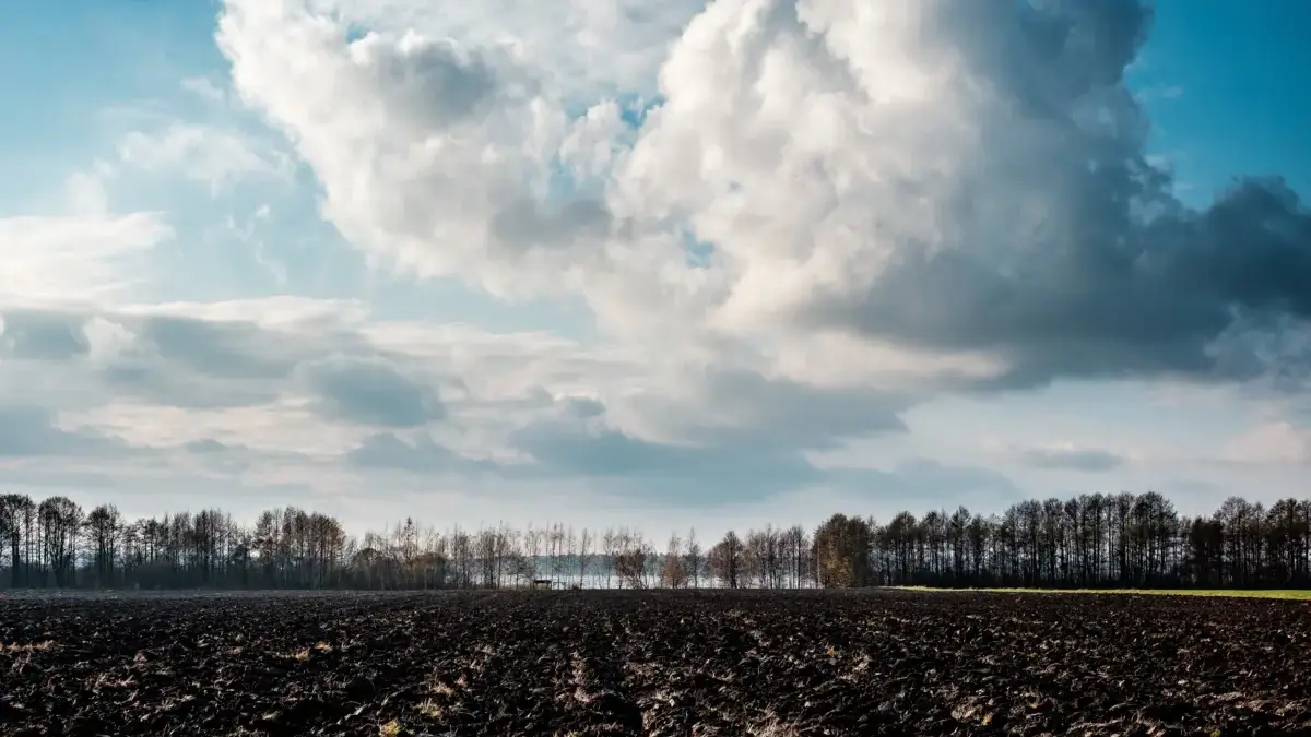 BMKG Peringatkan Kemarau 2026 Lebih Awal dan Panjang BMKG Peringatkan Kemarau 2026 Lebih Awal dan Panjang