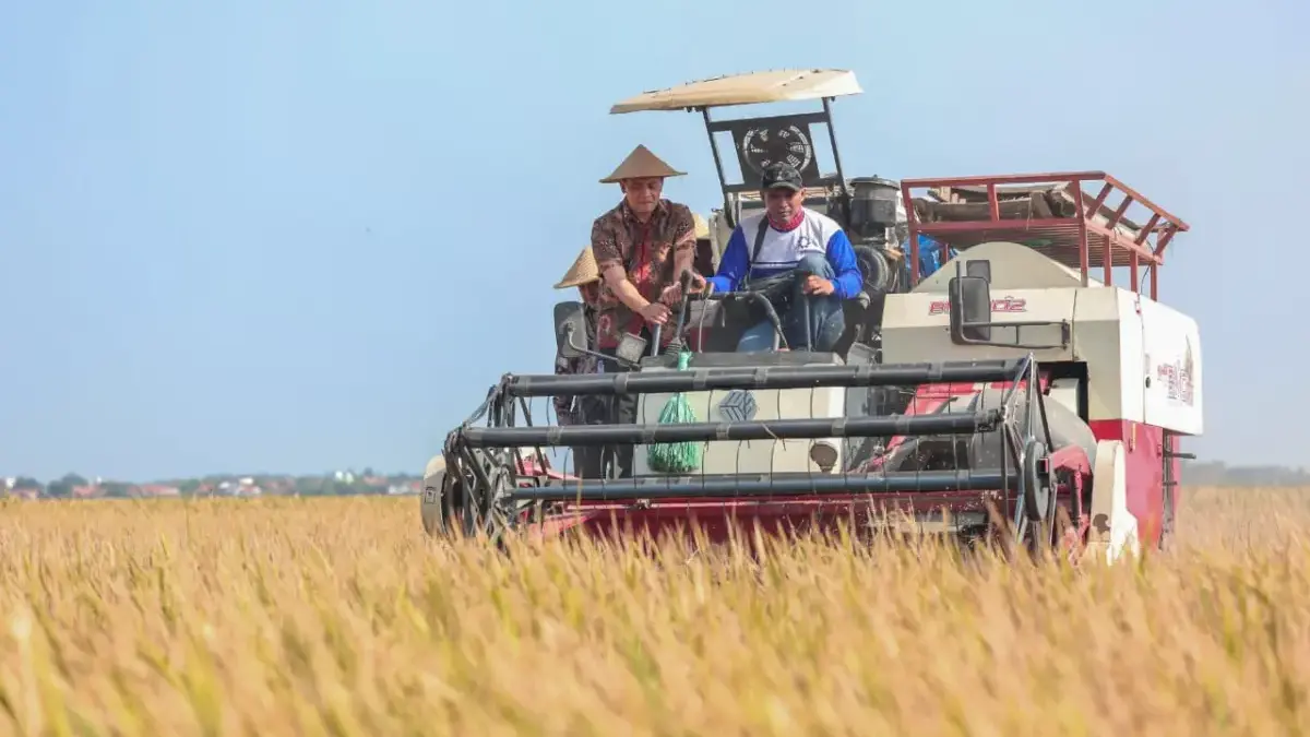 Produksi Padi Jateng Sudah Capai 6,69 Juta Ton, Ahmad Luthfi Optimistis Bisa Penuhi Target
