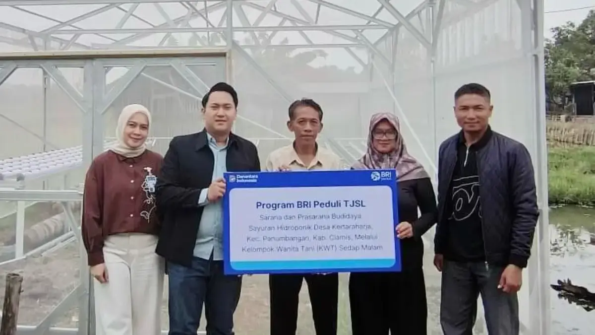 BRI Salurkan Bantuan TJSL Sarana Hidroponik untuk KWT Sedap Malam di Ciamis TJSL BRI CIAMIS