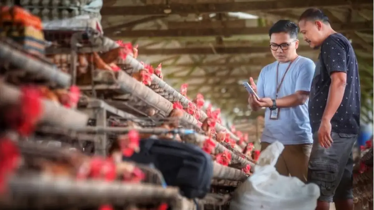Indeks Bisnis UMKM BRI Triwulan II 2026: Ketahanan UMKM Terjaga, Ditopang Optimisme Prospek Usaha ILUSTRASI