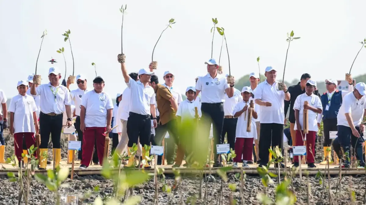 Harapan Baru Warga Timbulsloko Demak: 10 Tahun Melawan Rob, Kini Jadi Percontohan Pemulihan Pesisir Pantura