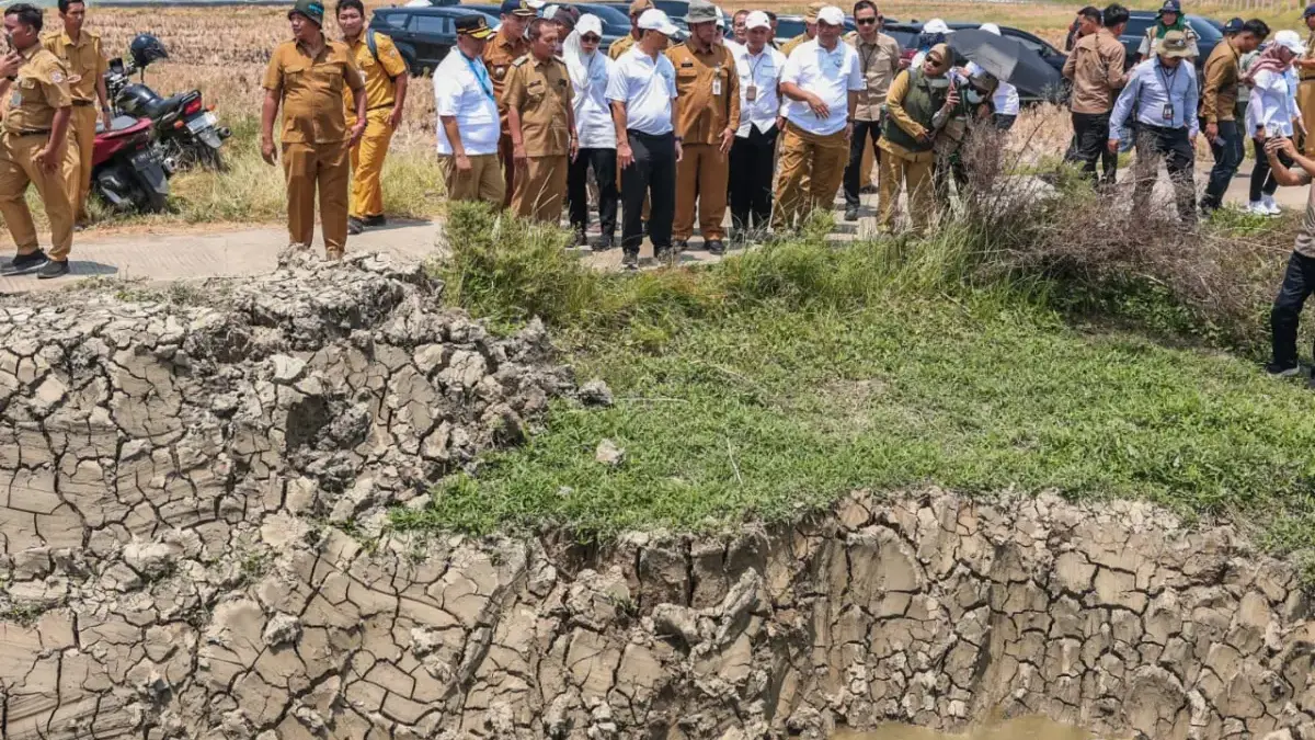 Bantu Petani Demak Tanam Hingga 3 Kali Setahun, Ahmad Luthfi Pastikan Normalisasi Saluran Irigasi Lancar