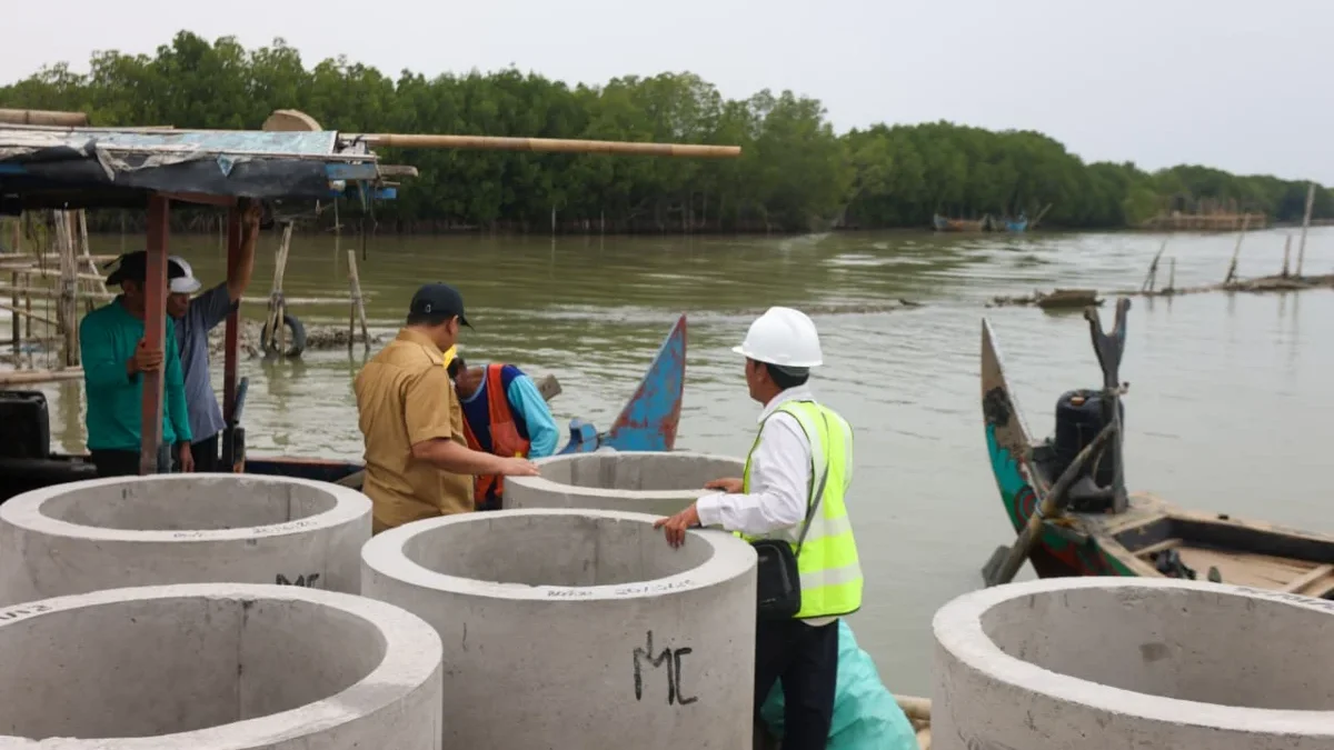 Taj Yasin Kawal Pembangunan Hybrid Seawall, Warga Demak Menatap Pemulihan Tambak
